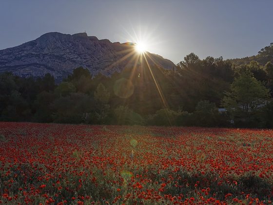 Lever de soleil sur la montagne Sainte-Victoire